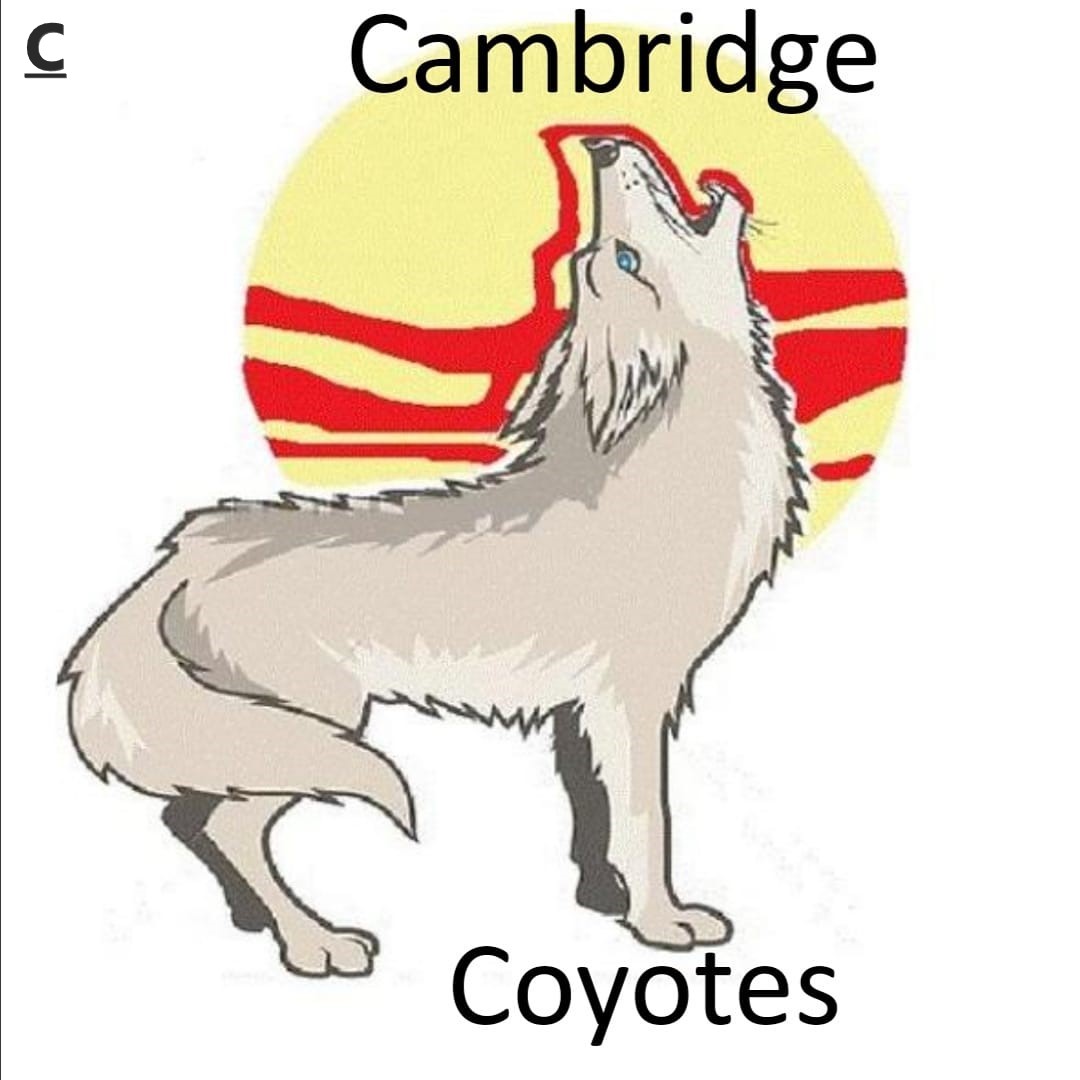 coyotes3.jpg